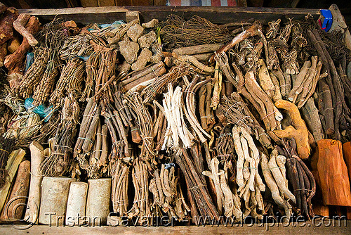 Dried Root